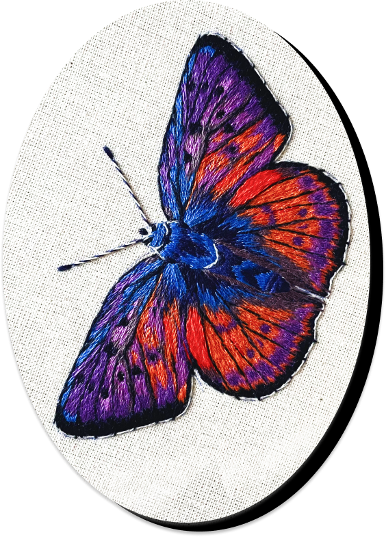 borboleta pintura de agulha sem medo