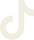 icon tiktok